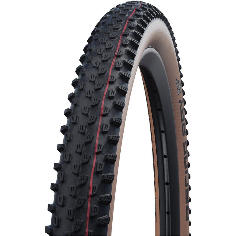 Schwalbe Racing Ray Tire – 29 x 2.25, Tubeless, Folding, Black/Transparent, Evolution, Super Race, Addix Speed