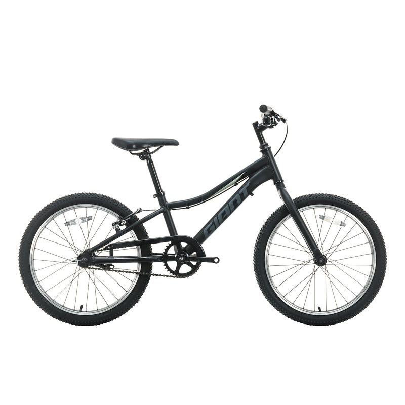 Giant XTC Jr 20 C/B Children’s Bike – 2021, One Size