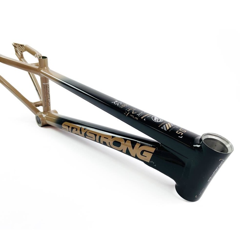 Stay Strong For Life 2024 V5 Expert XL Race Frame – Disc version