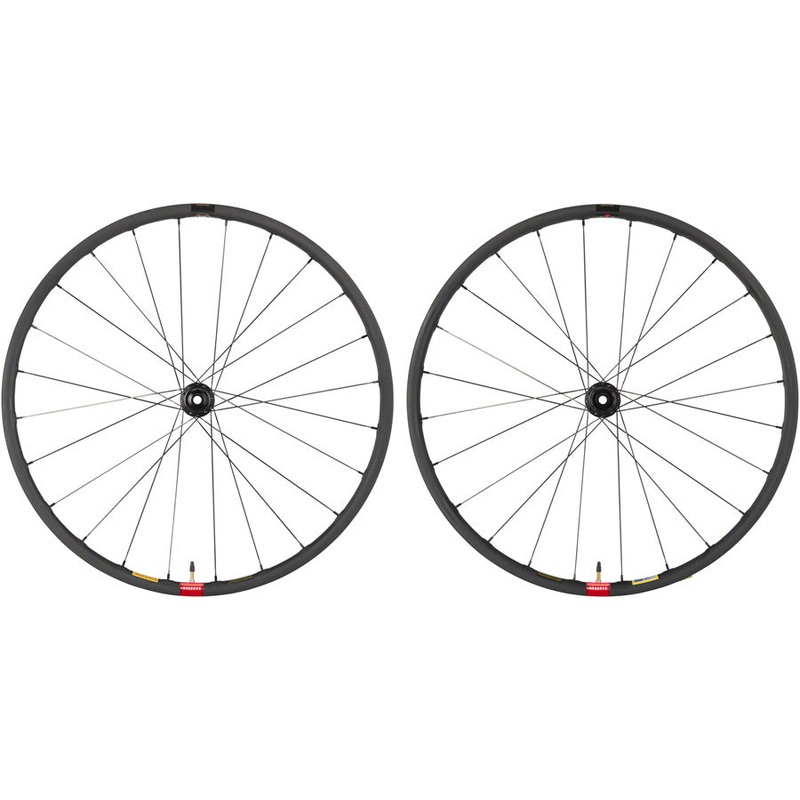 Reserve Wheels Reserve 25 GR Wheelset – 700, 12 x 100/12 x 142, Center-Lock, XDR, Carbon, DT 350