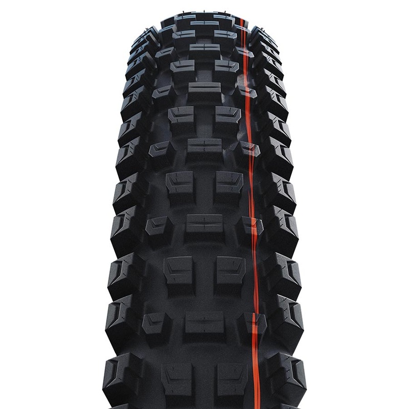 Schwalbe Albert Gravity Pro E50 Tire 29×2.6″ Addix Soft